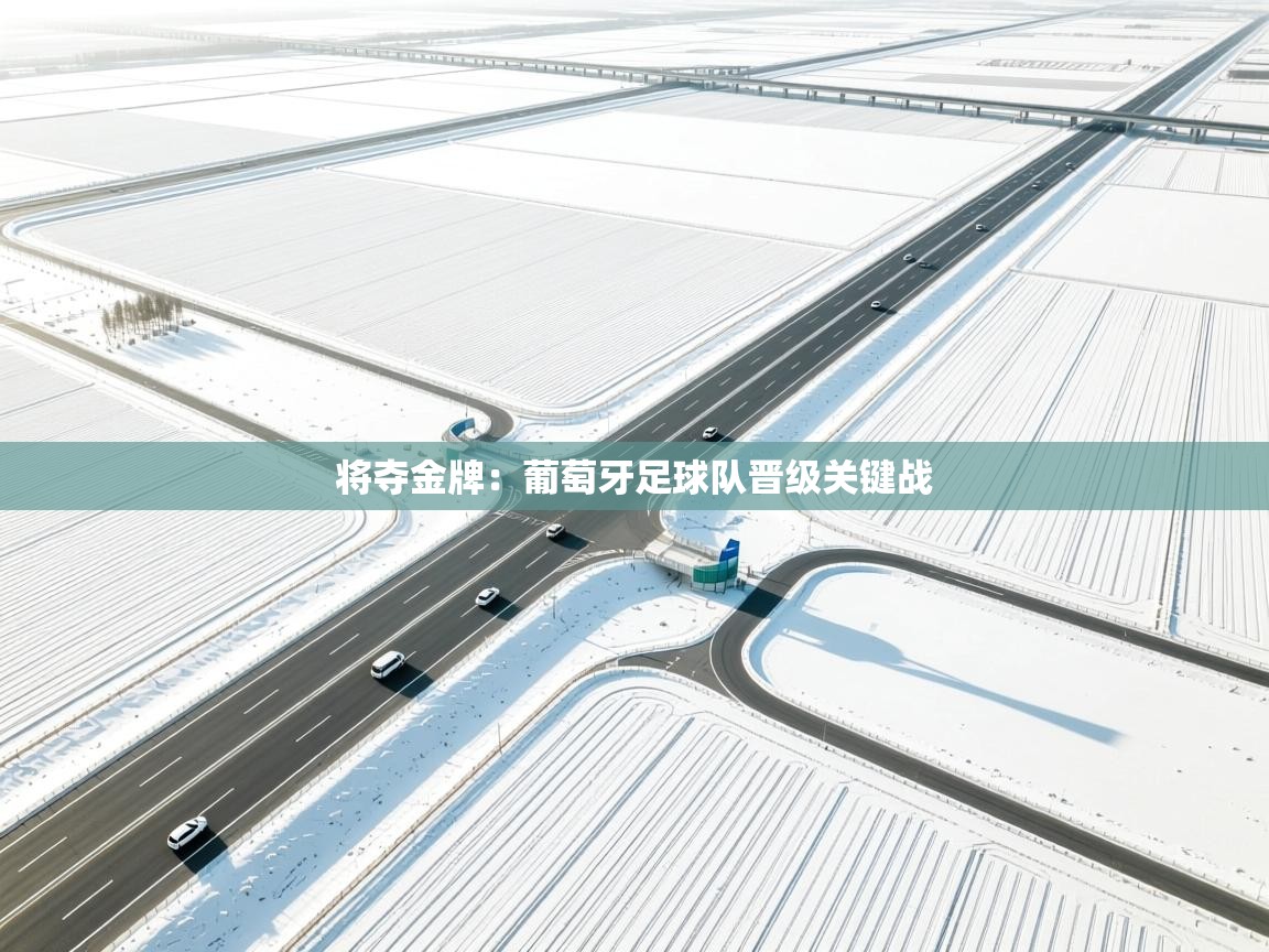 将夺金牌：葡萄牙足球队晋级关键战  第2张