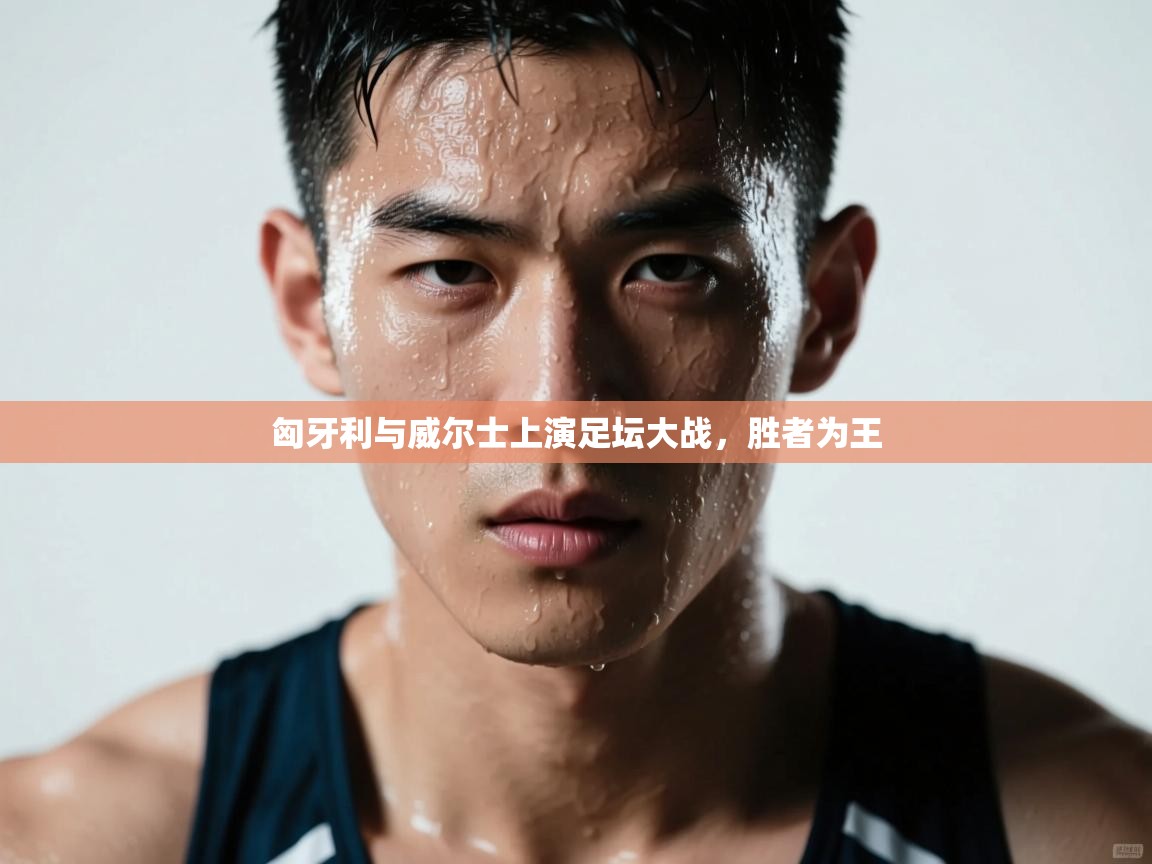 匈牙利与威尔士上演足坛大战，胜者为王  第2张