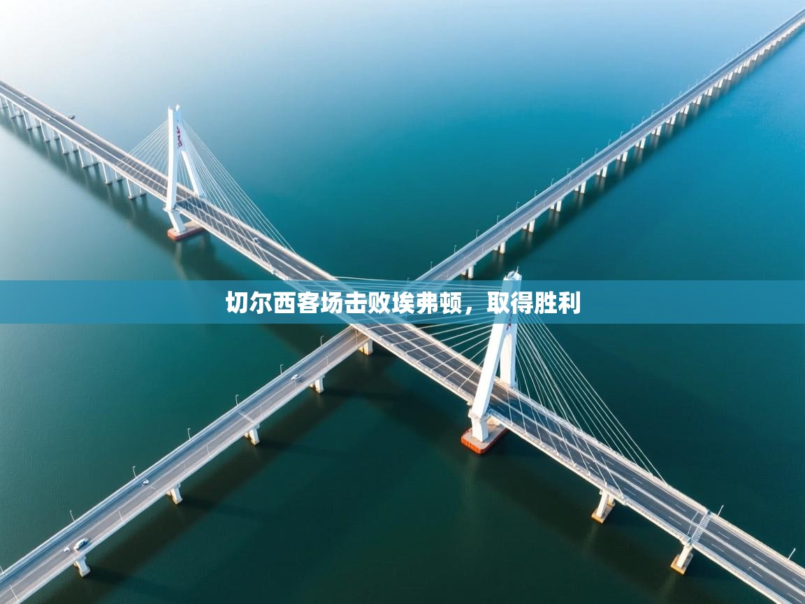 切尔西客场击败埃弗顿，取得胜利  第2张