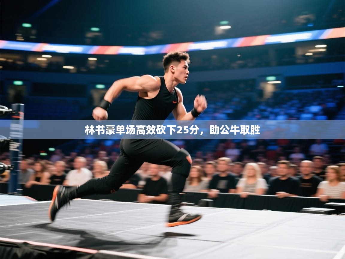 林书豪单场高效砍下25分，助公牛取胜  第2张