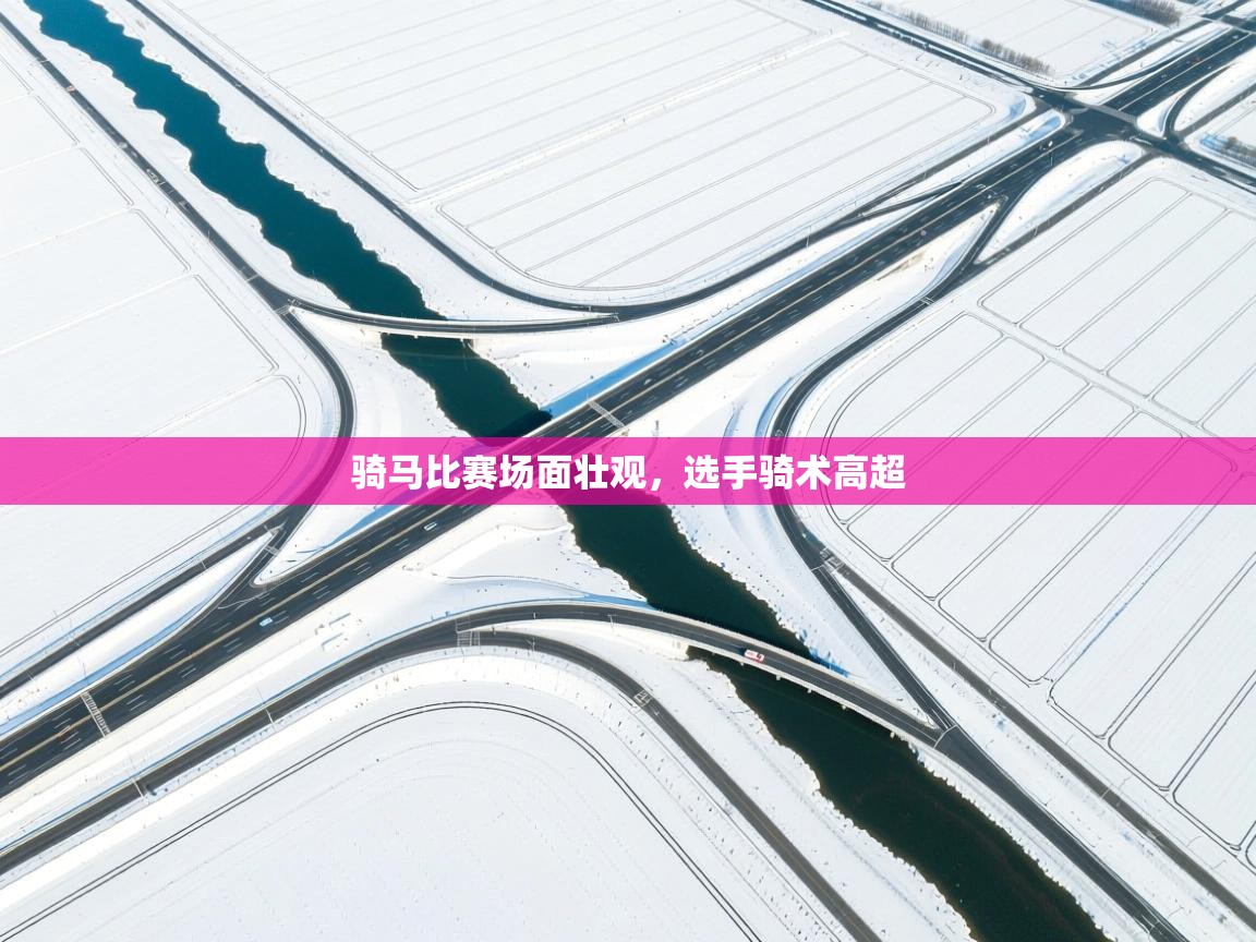 骑马比赛场面壮观，选手骑术高超