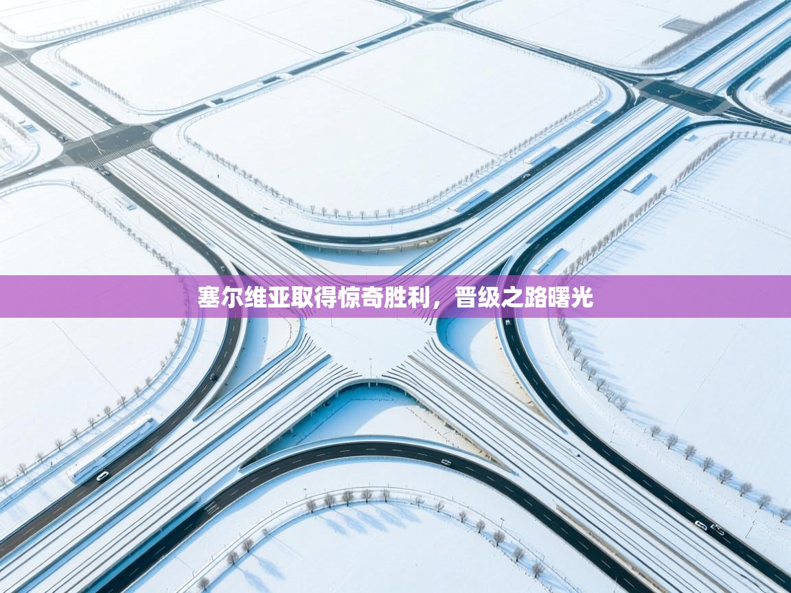 塞尔维亚取得惊奇胜利,晋级之路曙光 第2张