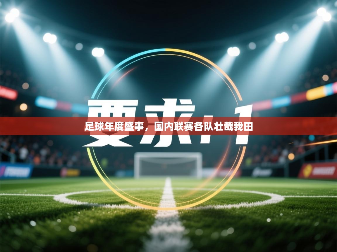 足球年度盛事，国内联赛各队壮哉我田