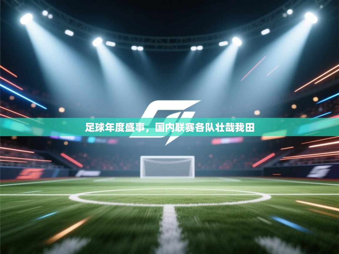 足球年度盛事，国内联赛各队壮哉我田  第2张