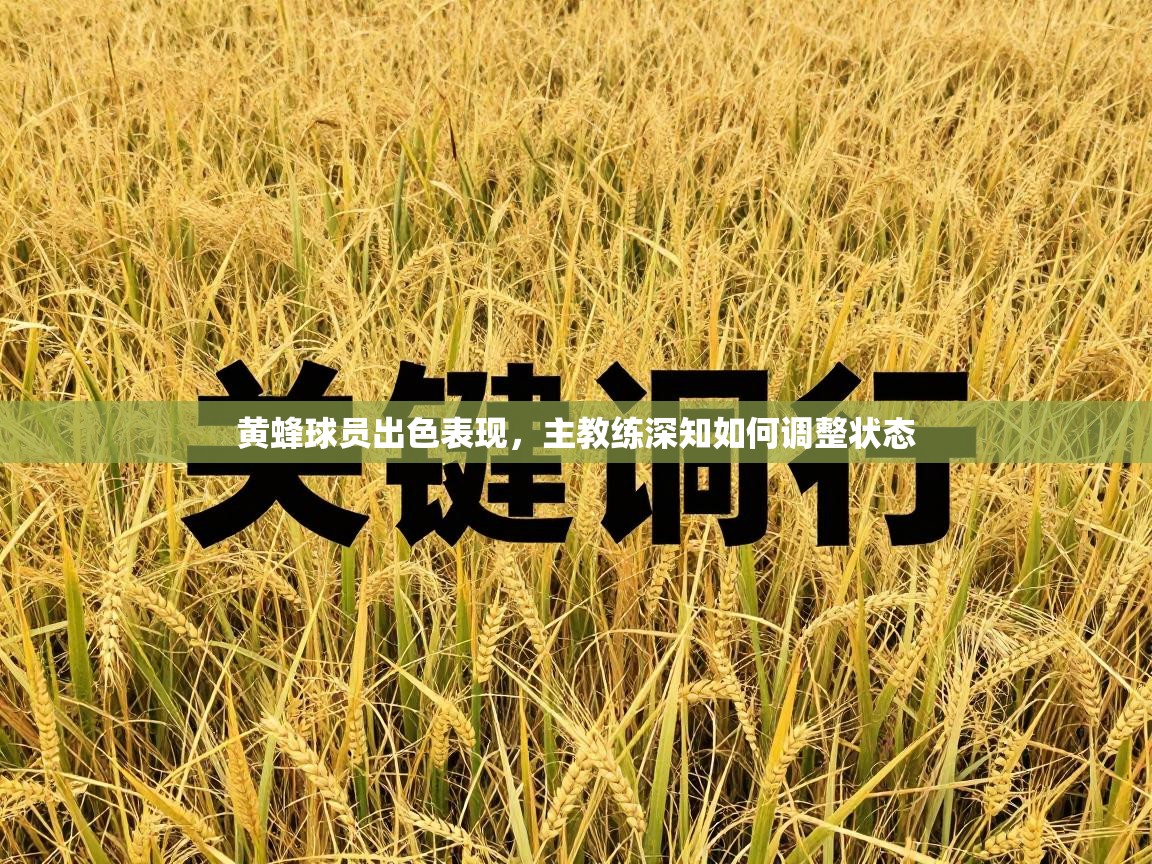 黄蜂球员出色表现，主教练深知如何调整状态  第1张