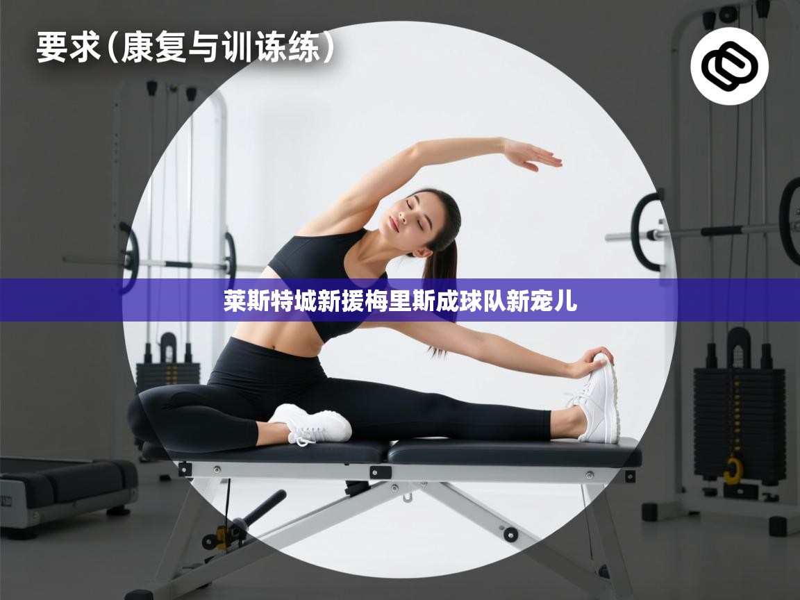 莱斯特城新援梅里斯成球队新宠儿