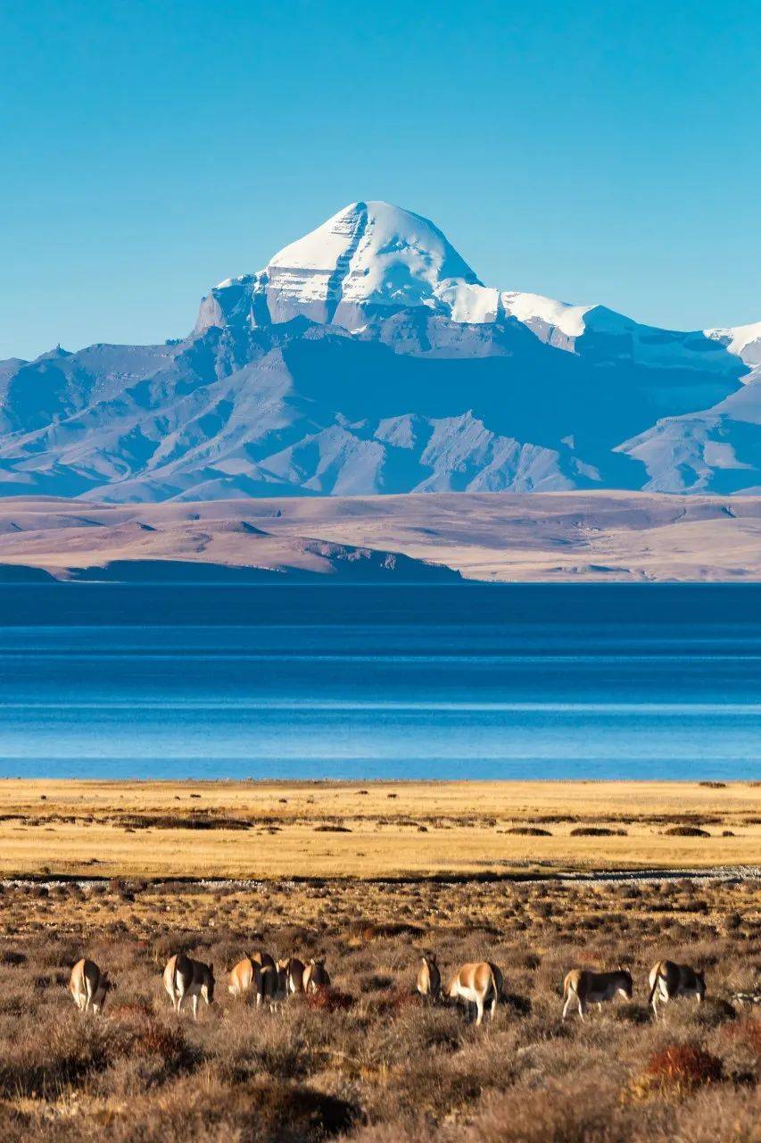 米乐体育网站-波齐山竞技场遭逆转，连胜收官的简单介绍